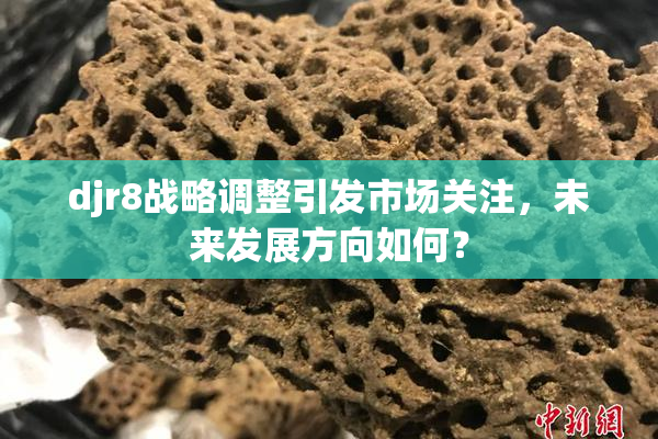 djr8战略调整引发市场关注，未来发展方向如何？