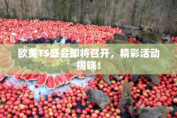 欧美TS盛会即将召开，精彩活动揭晓！