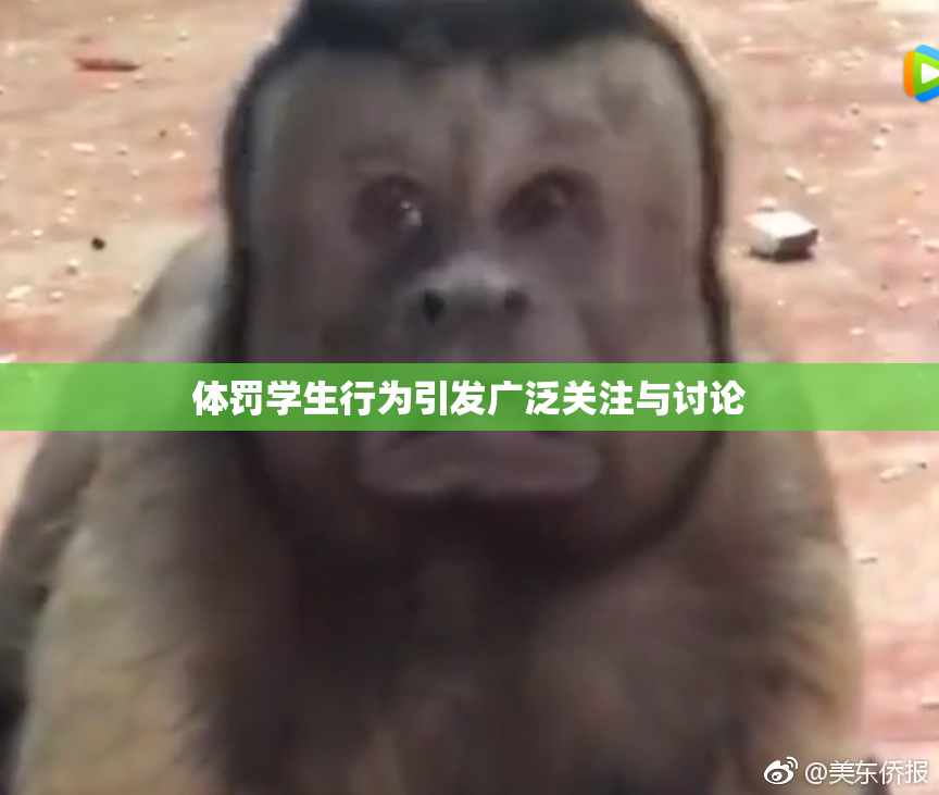 体罚学生行为引发广泛关注与讨论