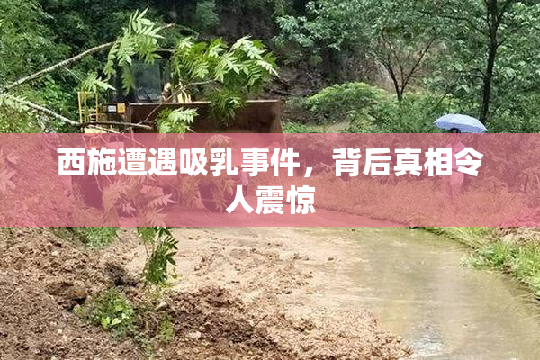 西施遭遇吸乳事件，背后真相令人震惊