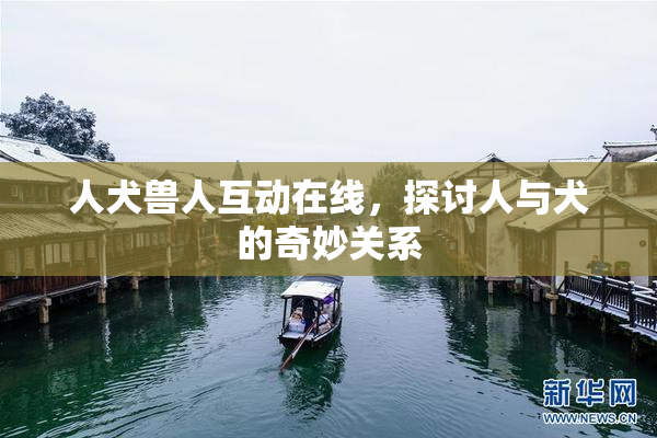 人犬兽人互动在线，探讨人与犬的奇妙关系