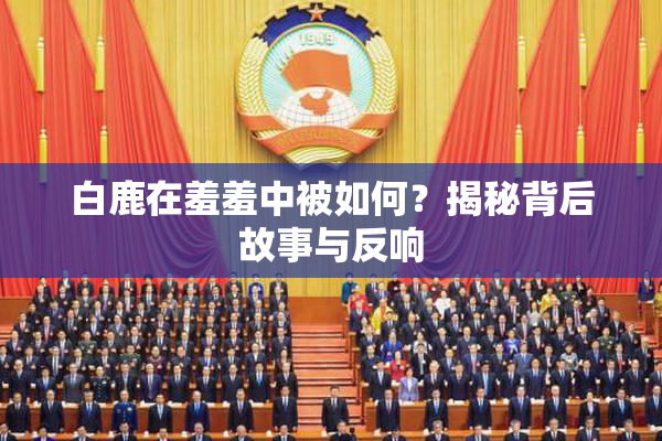 白鹿在羞羞中被如何？揭秘背后故事与反响