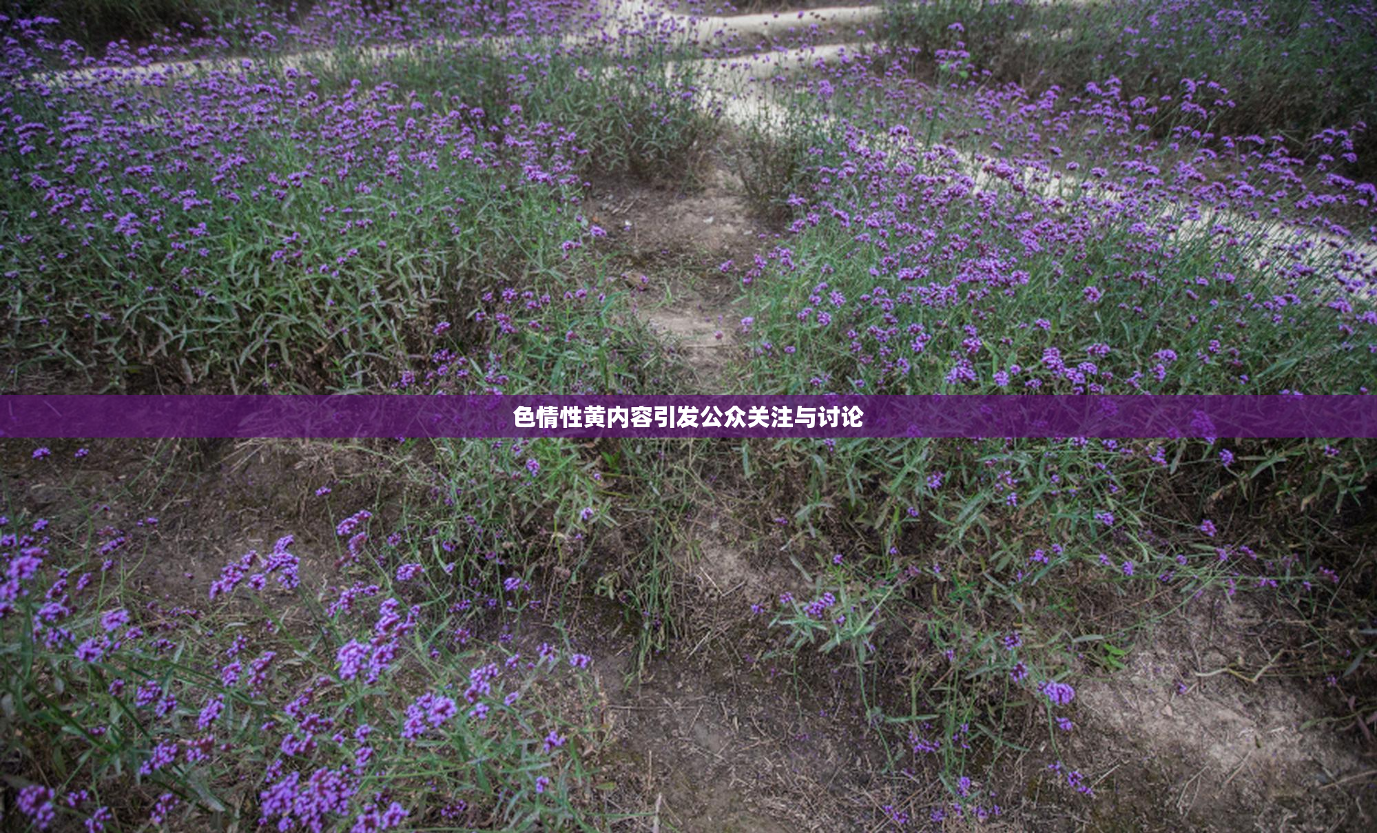 色情性黄内容引发公众关注与讨论