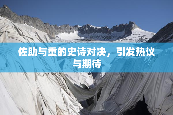 佐助与重的史诗对决，引发热议与期待