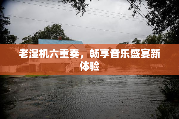 老湿机六重奏，畅享音乐盛宴新体验