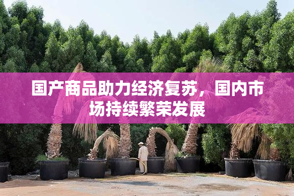 国产商品助力经济复苏，国内市场持续繁荣发展