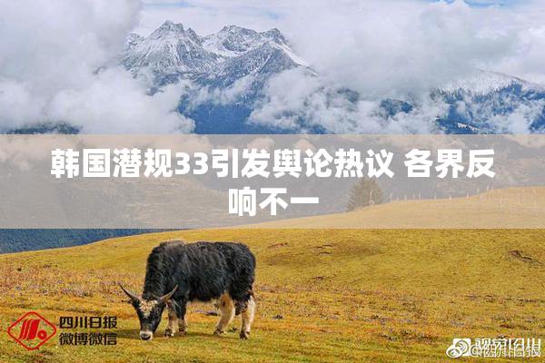 韩国潜规33引发舆论热议 各界反响不一