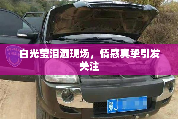 白光莹泪洒现场，情感真挚引发关注