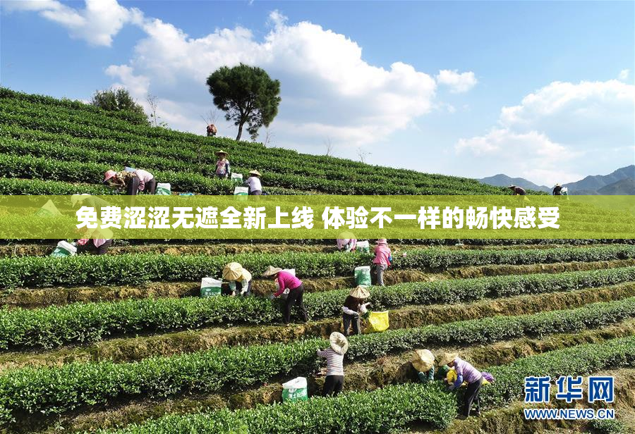 免费涩涩无遮全新上线 体验不一样的畅快感受