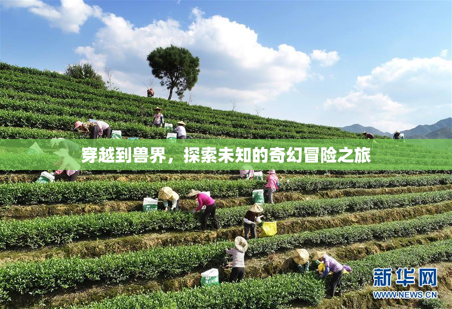 穿越到兽界，探索未知的奇幻冒险之旅