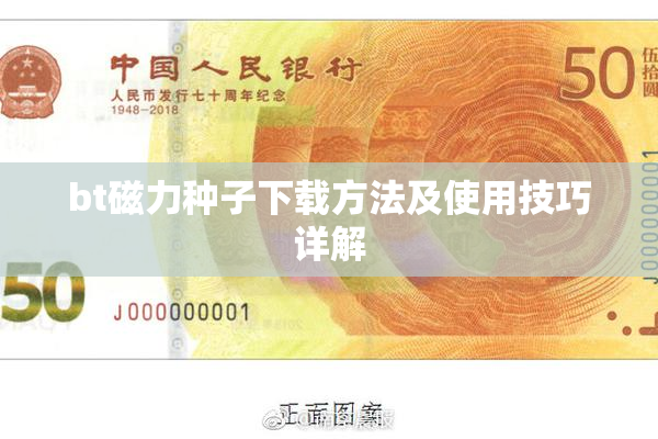 bt磁力种子下载方法及使用技巧详解