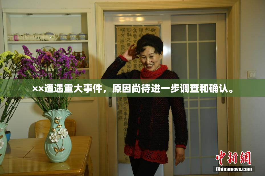 ××遭遇重大事件，原因尚待进一步调查和确认。