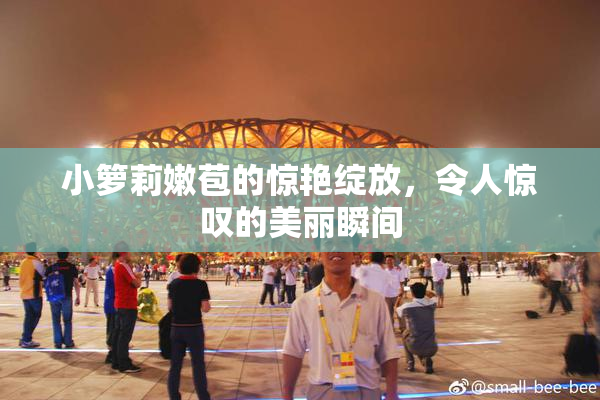 小箩莉嫩苞的惊艳绽放，令人惊叹的美丽瞬间