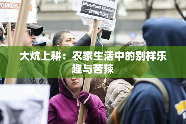大炕上耕：农家生活中的别样乐趣与苦辣