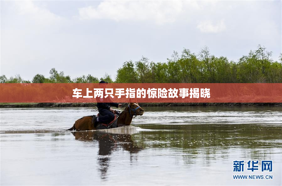 车上两只手指的惊险故事揭晓