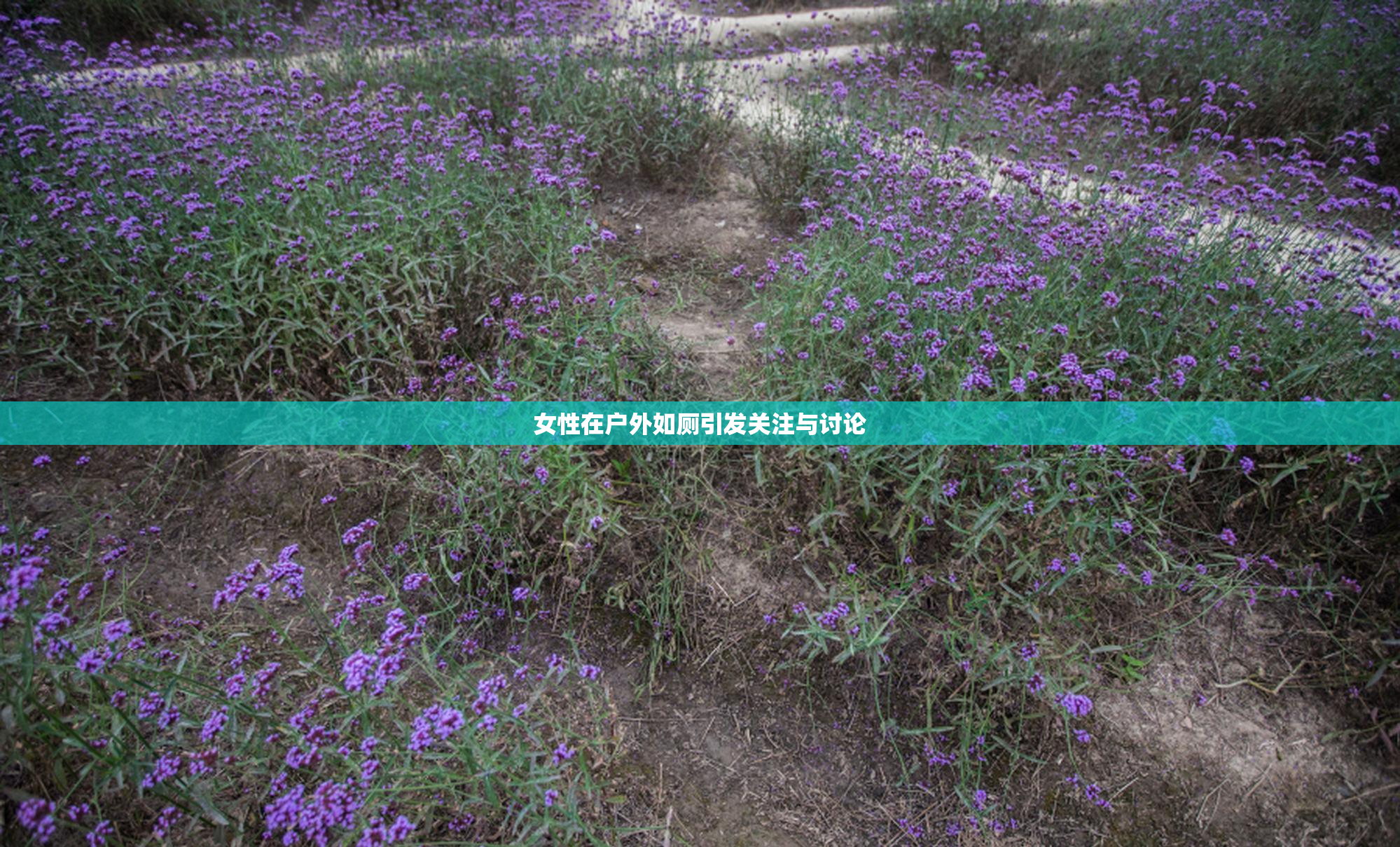 女性在户外如厕引发关注与讨论