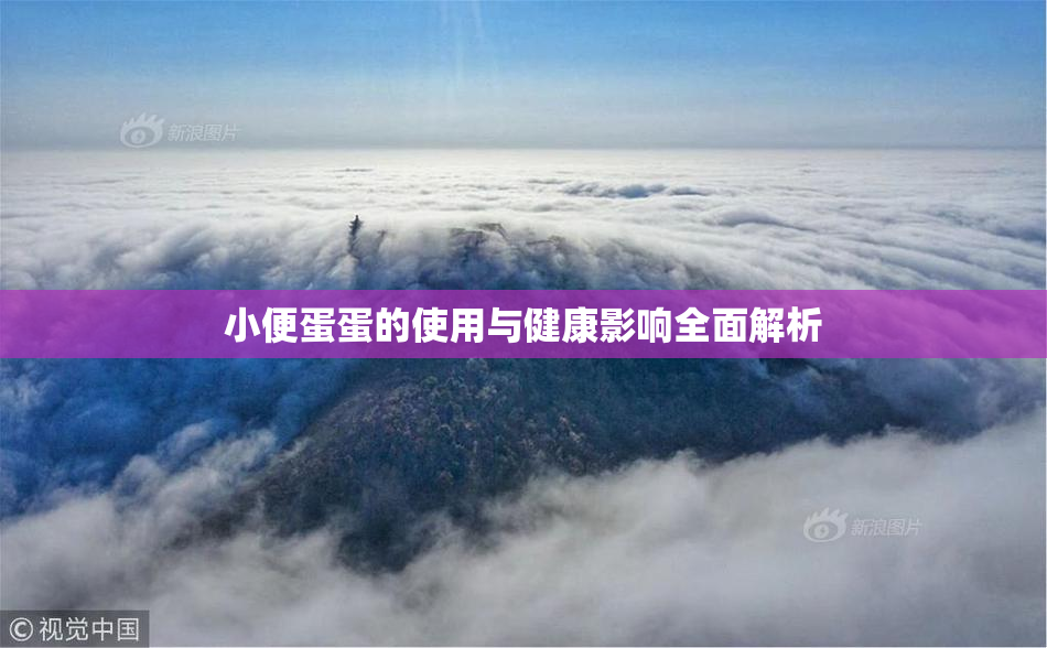 小便蛋蛋的使用与健康影响全面解析