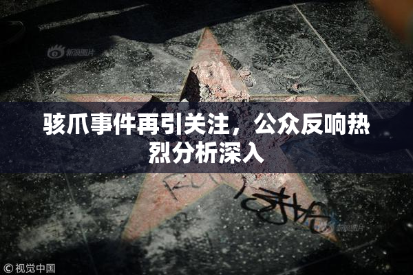 骇爪事件再引关注，公众反响热烈分析深入