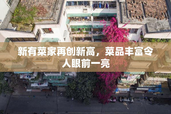 新有菜家再创新高，菜品丰富令人眼前一亮