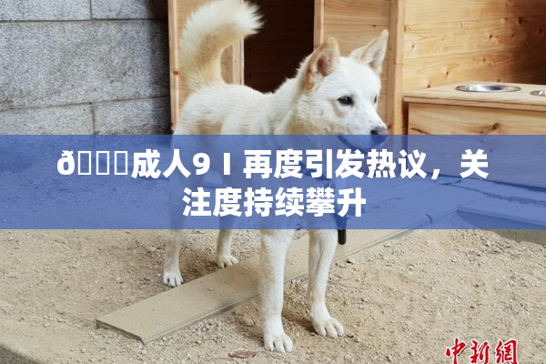 🔞成人9Ⅰ再度引发热议，关注度持续攀升