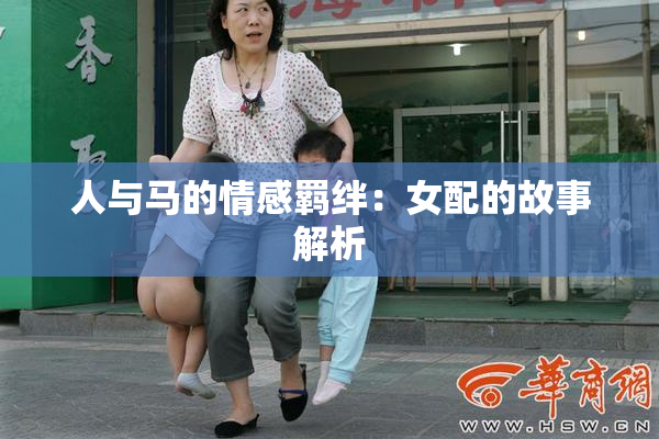人与马的情感羁绊：女配的故事解析