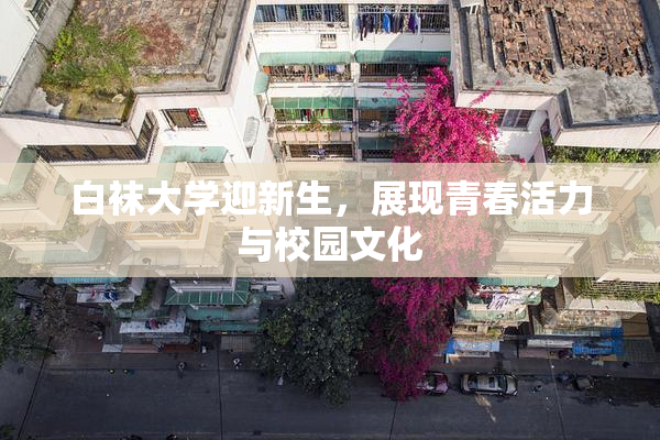 白袜大学迎新生，展现青春活力与校园文化