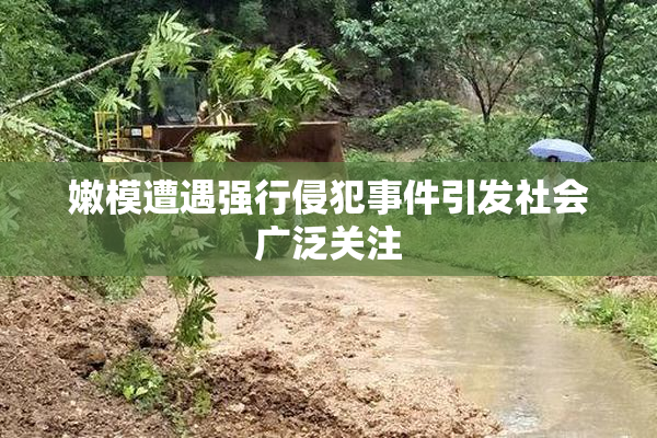 嫩模遭遇强行侵犯事件引发社会广泛关注