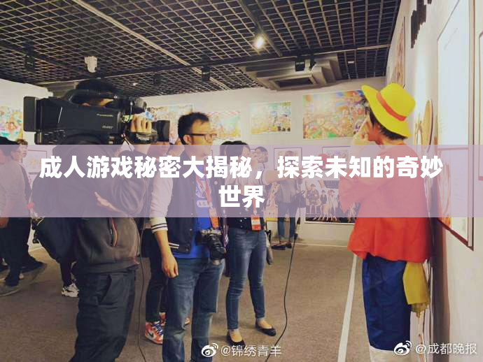 成人游戏秘密大揭秘，探索未知的奇妙世界