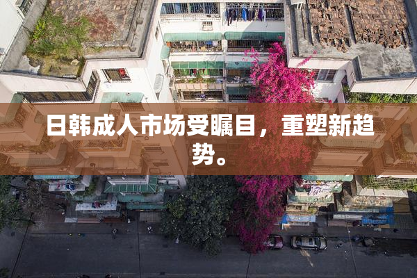 日韩成人市场受瞩目，重塑新趋势。