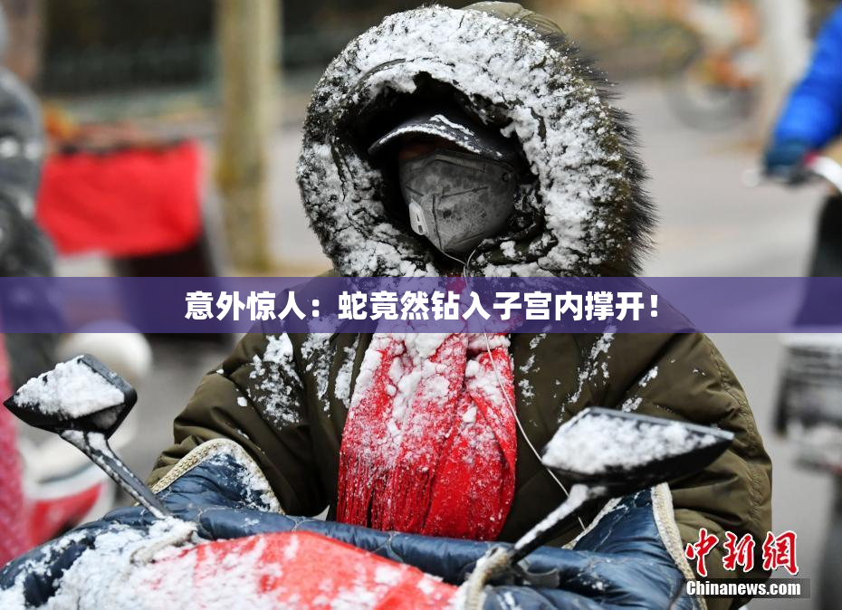意外惊人：蛇竟然钻入子宫内撑开！