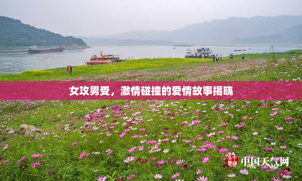 女攻男受，激情碰撞的爱情故事揭晓