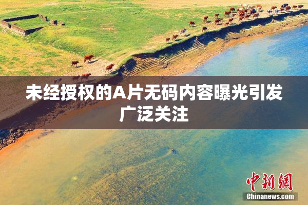 未经授权的A片无码内容曝光引发广泛关注