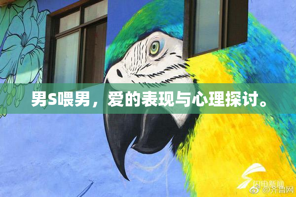男S喂男，爱的表现与心理探讨。