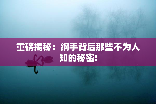 重磅揭秘：纲手背后那些不为人知的秘密!