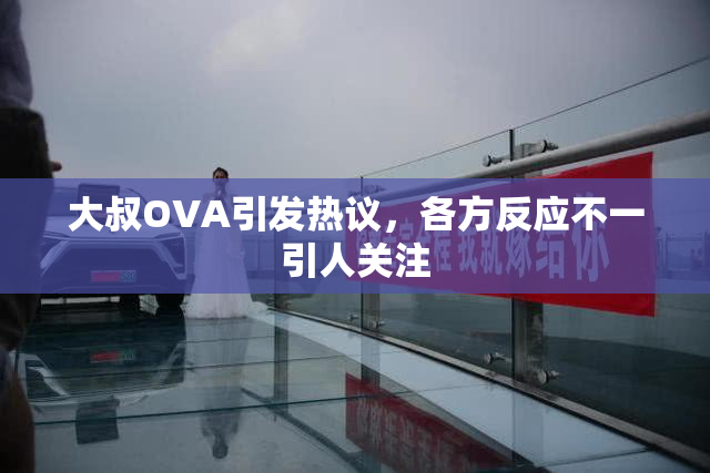 大叔OVA引发热议，各方反应不一引人关注