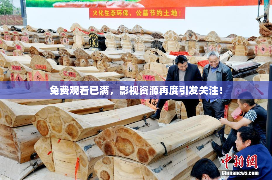 免费观看已满，影视资源再度引发关注！