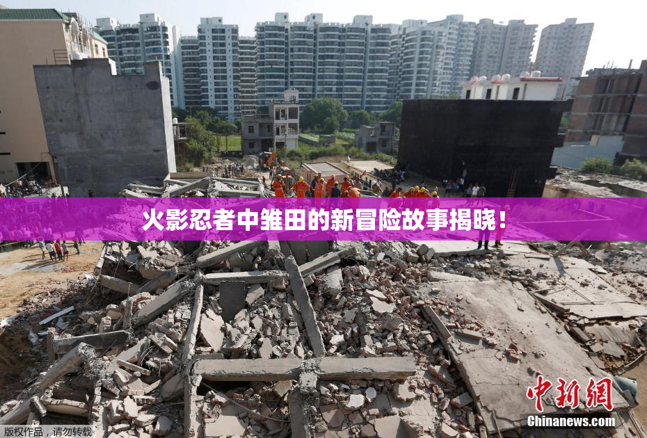 火影忍者中雏田的新冒险故事揭晓！