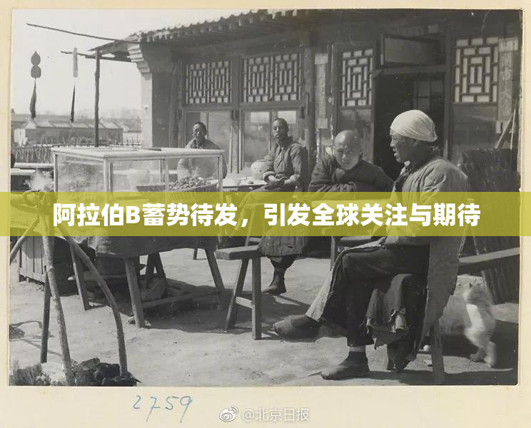 阿拉伯B蓄势待发，引发全球关注与期待