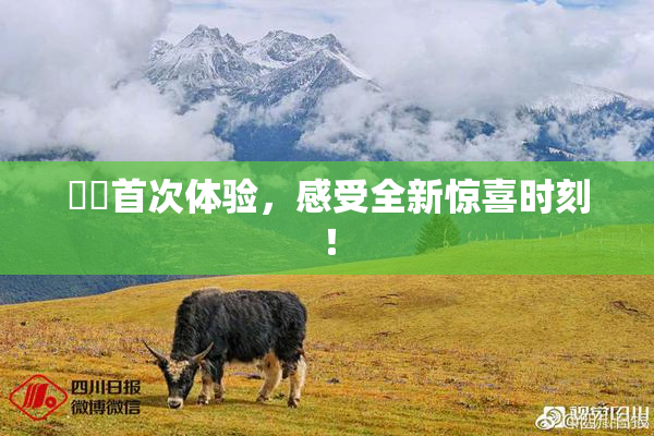 妺妺首次体验，感受全新惊喜时刻！