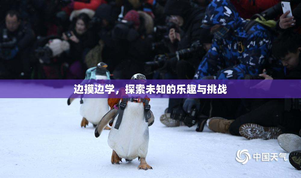 边摸边学，探索未知的乐趣与挑战