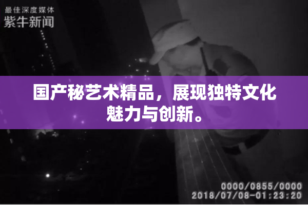 国产秘艺术精品，展现独特文化魅力与创新。