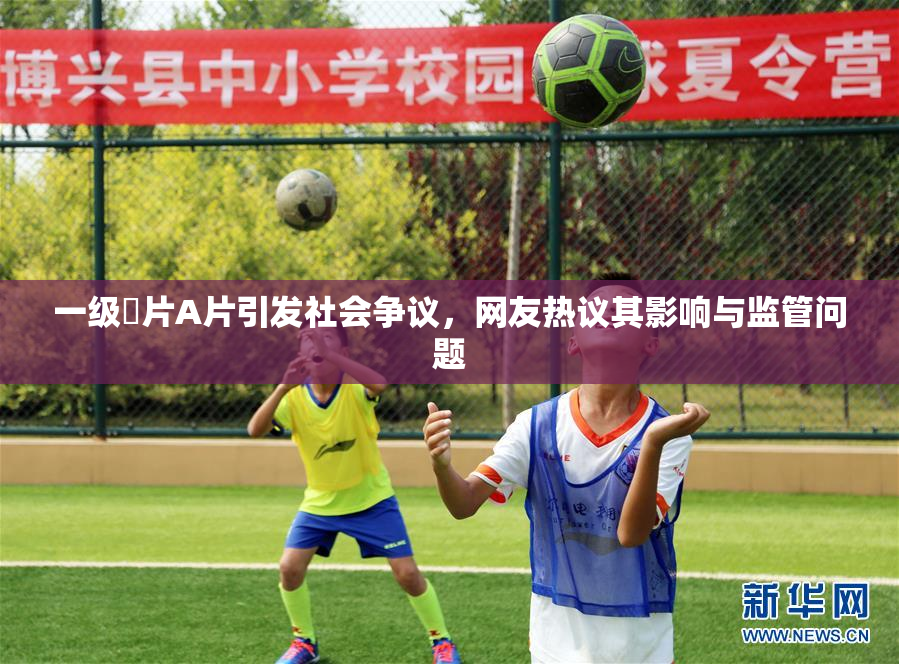 一级婬片A片引发社会争议，网友热议其影响与监管问题
