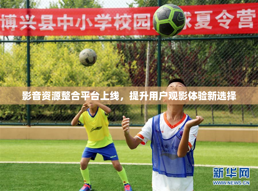 影音资源整合平台上线，提升用户观影体验新选择