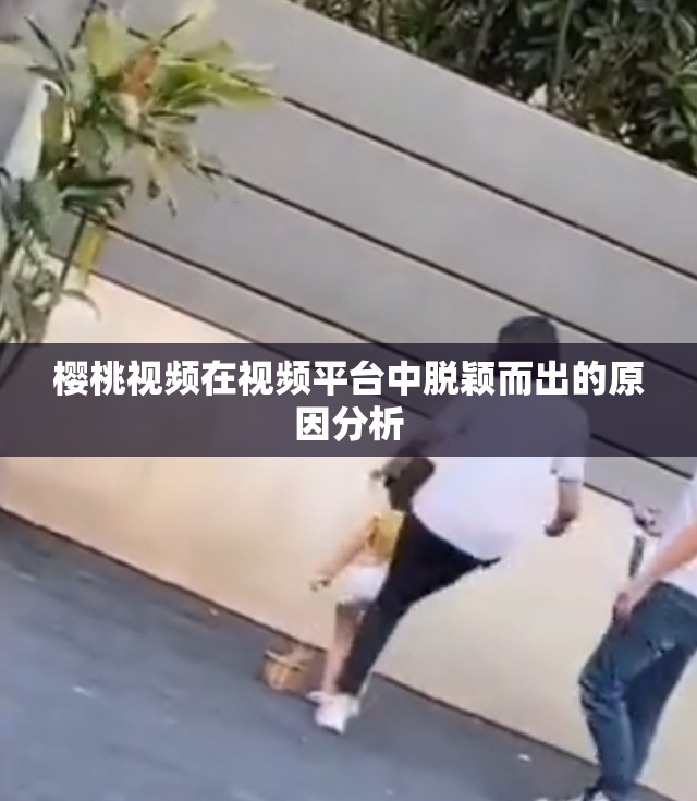 樱桃视频在视频平台中脱颖而出的原因分析
