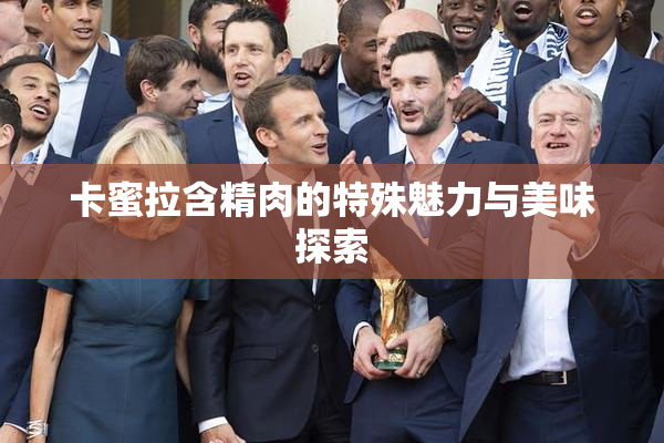 卡蜜拉含精肉的特殊魅力与美味探索