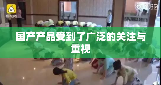 国产产品受到了广泛的关注与重视
