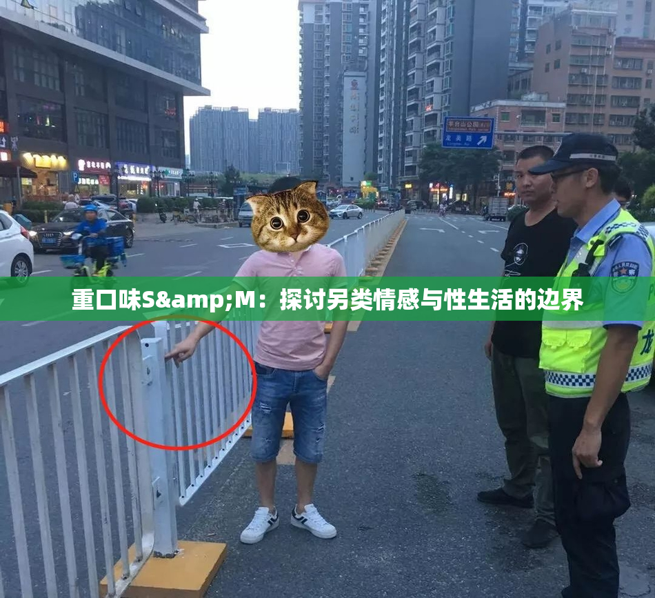 重口味S&M：探讨另类情感与性生活的边界