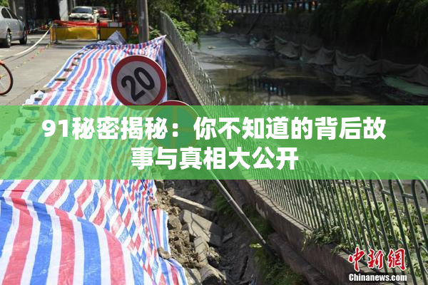 91秘密揭秘：你不知道的背后故事与真相大公开