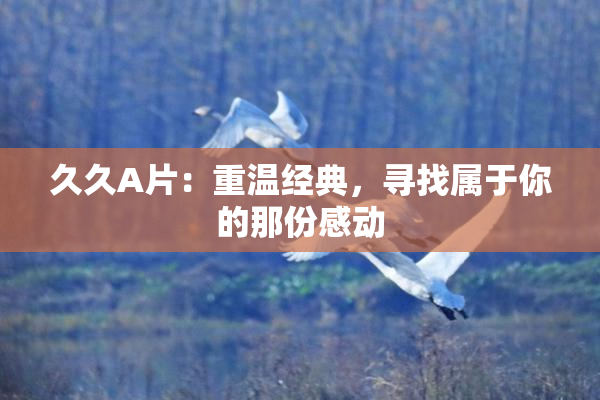 久久A片：重温经典，寻找属于你的那份感动