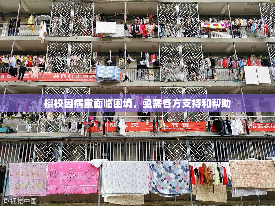 樱校因病重面临困境，亟需各方支持和帮助